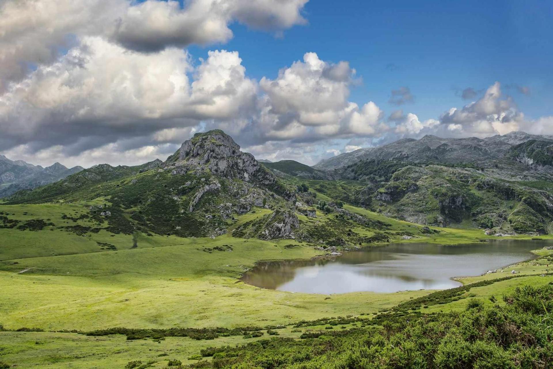 Casa La Gueelina En Asturias Villa Arriondas Eksteriør billede